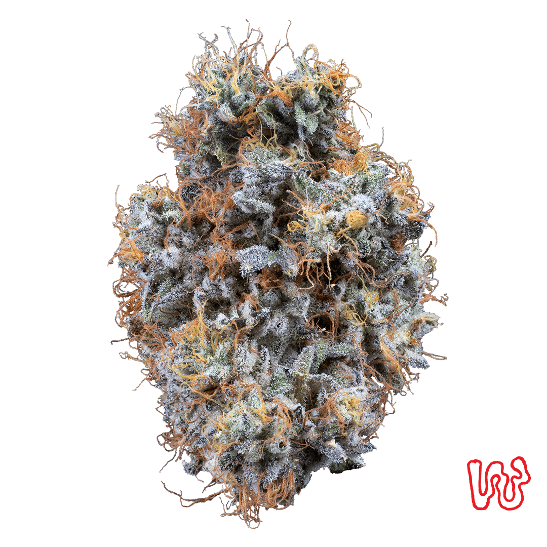 Koala Mints - 5.66g Whole Buds - Hybrid