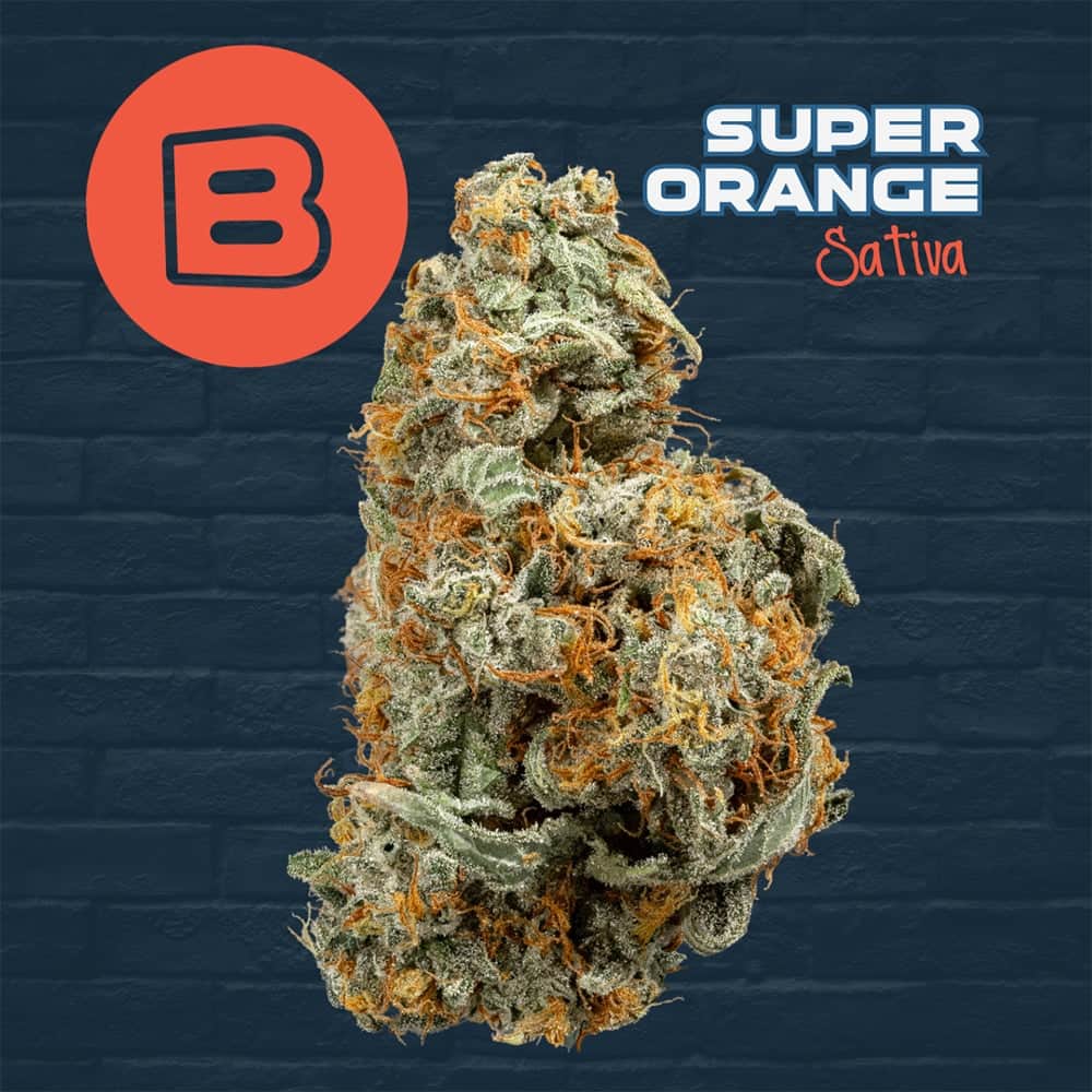 Super Orange - 3.5g Whole Buds - Sativa