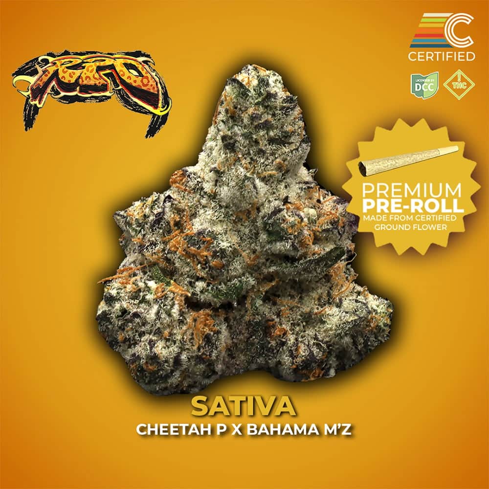Rpo - 1g Single - Sativa