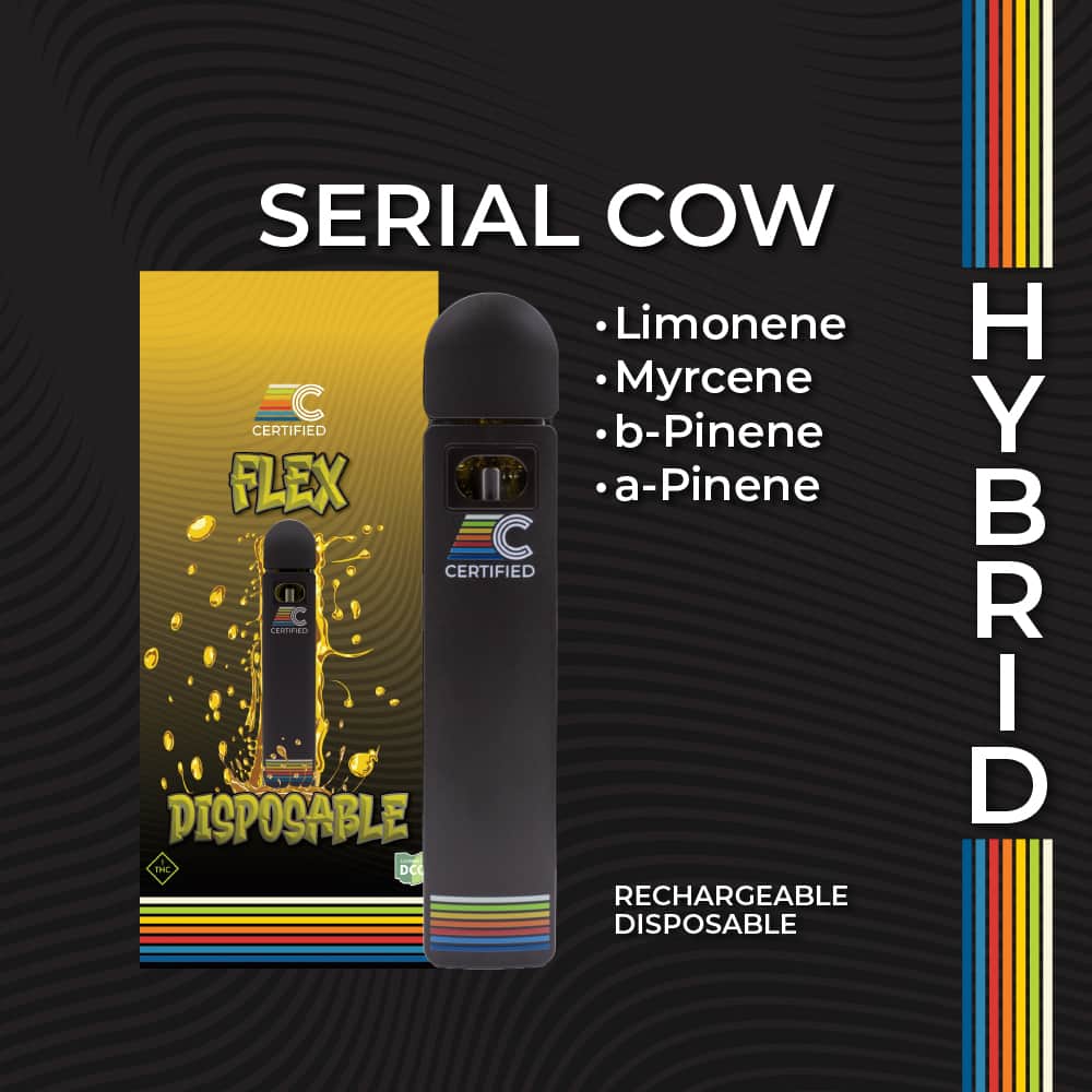 serial cow
