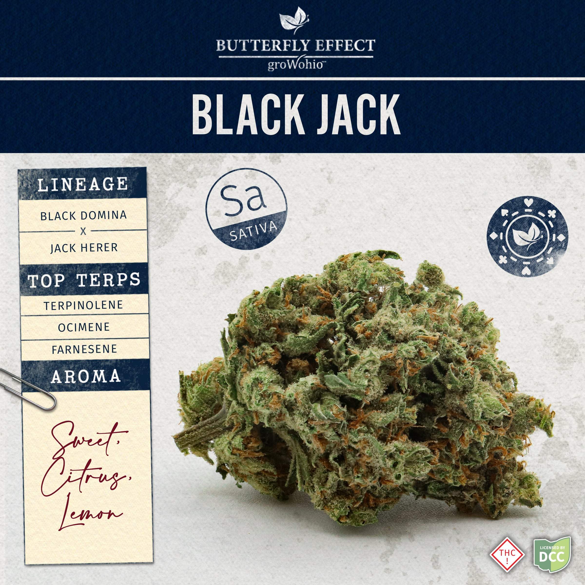 Black Jack - 14.15g Smalls - Sativa