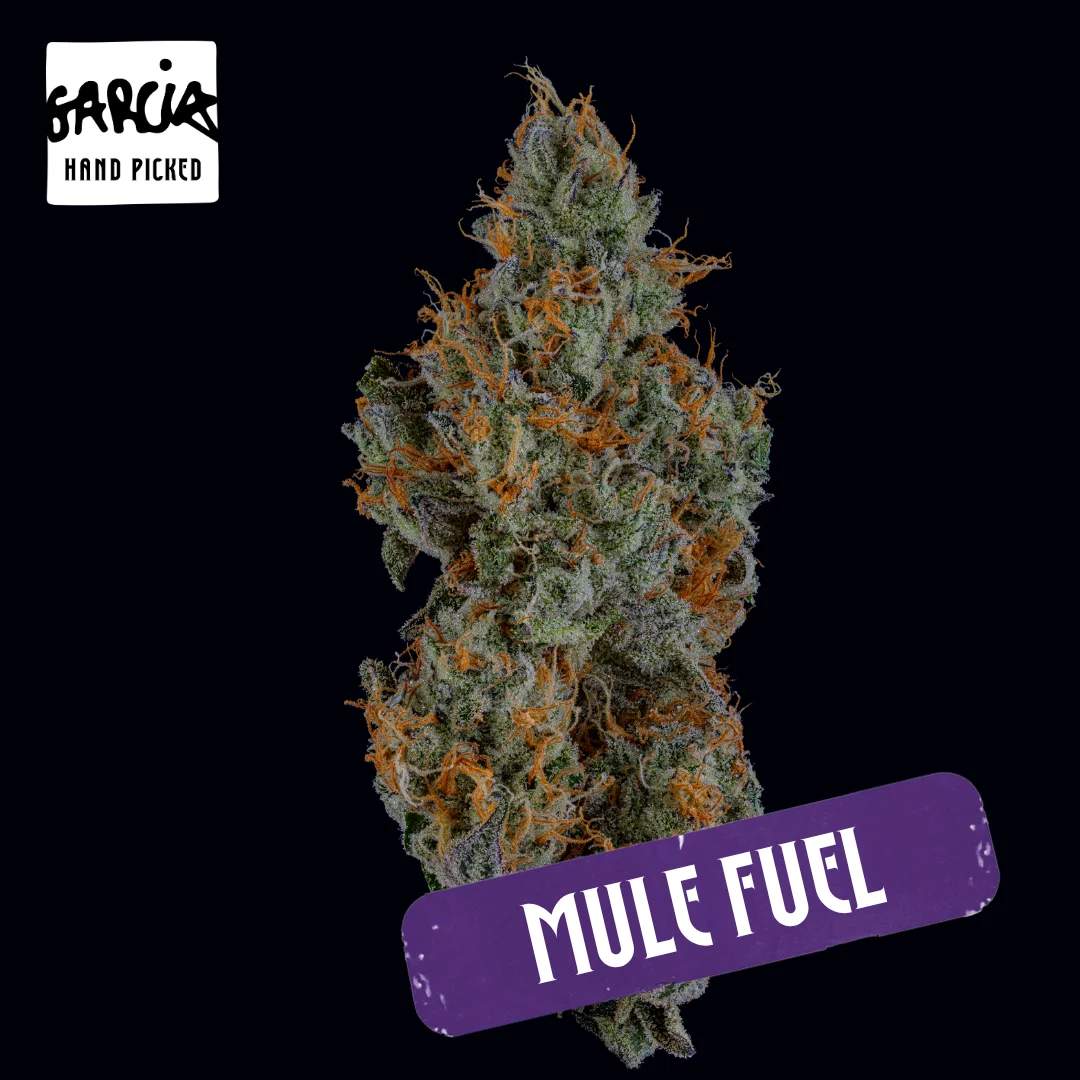 Mule Fuel - 3.5g Whole Buds - Indica