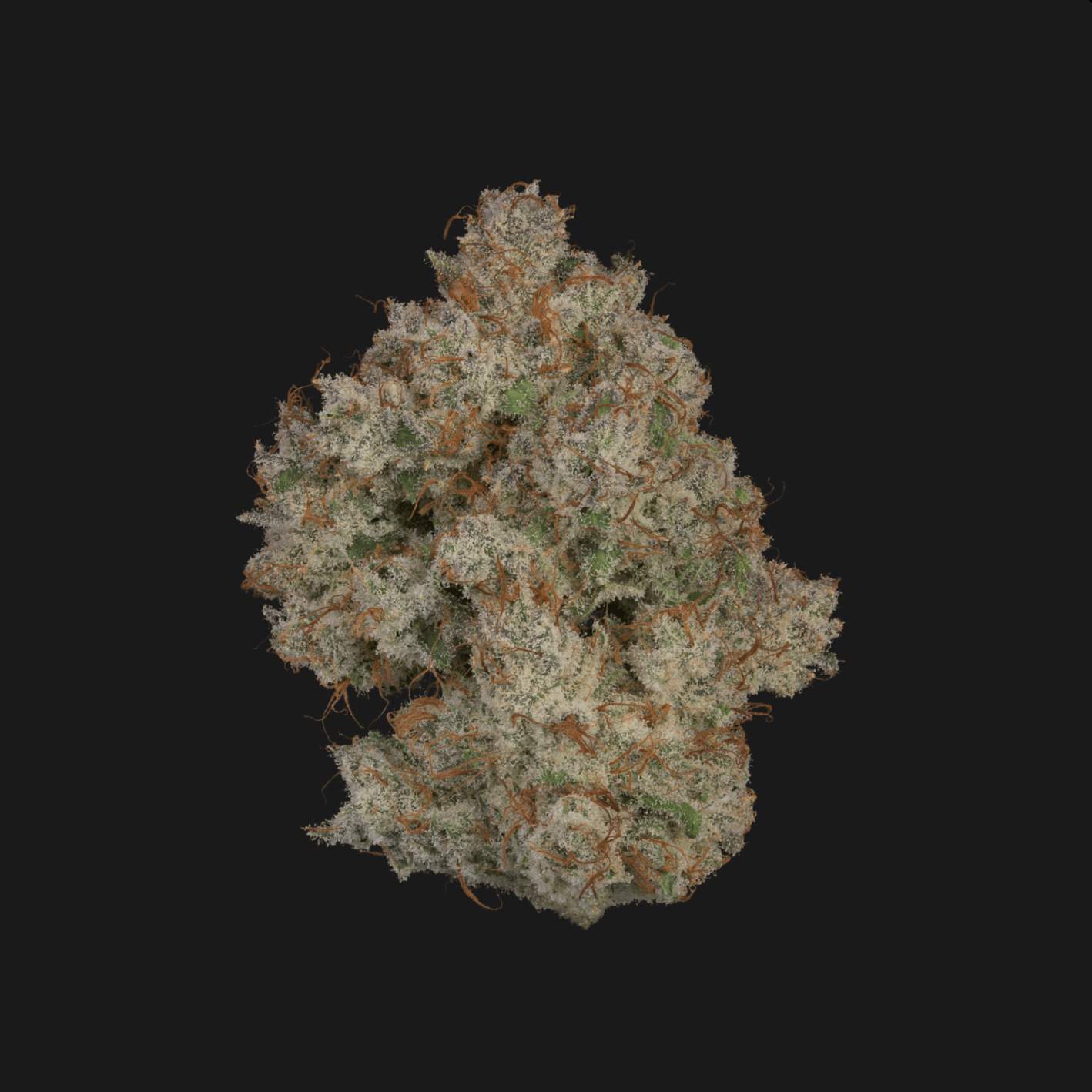 Strawberry Jam - 3.54g Whole Buds - Sativa