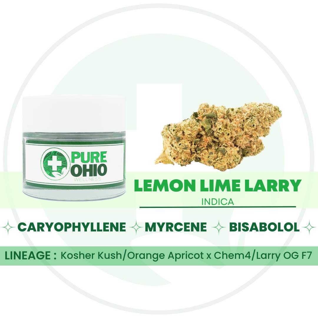 lemon lime larry