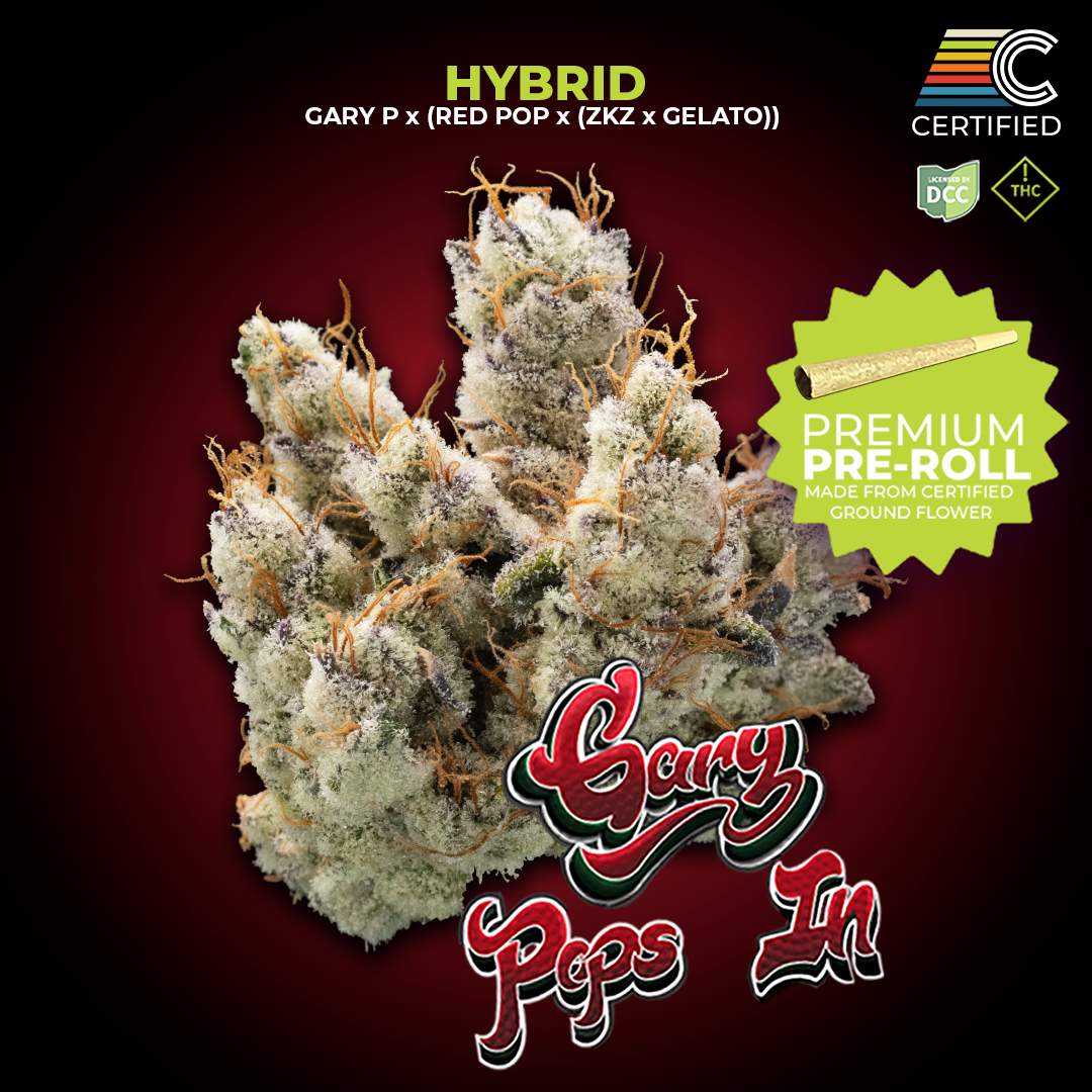 Gary Pops In - 1g Single - Hybrid