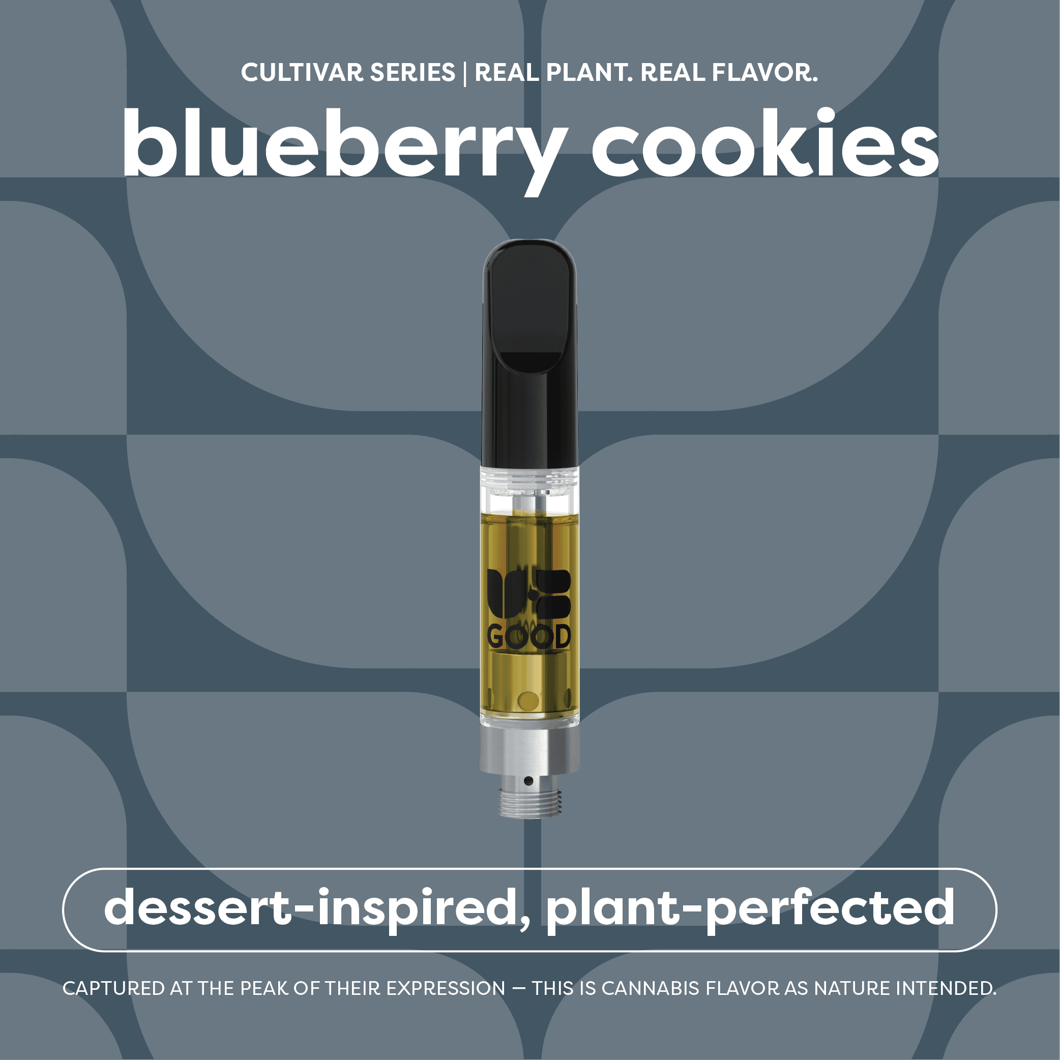 blueberry cookies