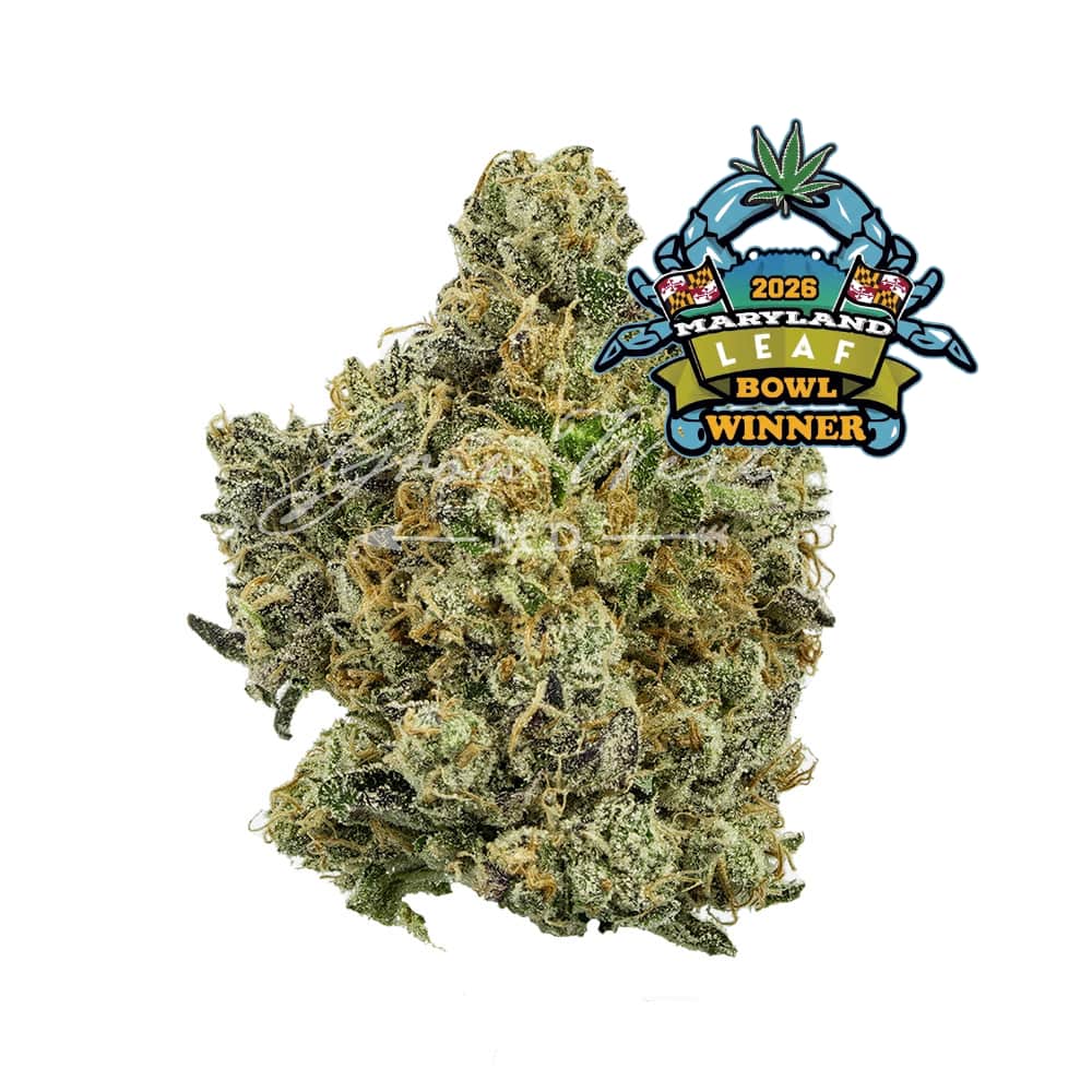 Electric Berry Bliss - 3.5g Whole Buds - Indica