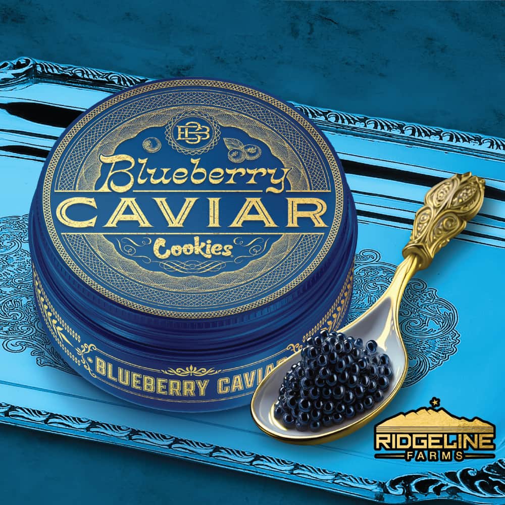 blueberry caviar