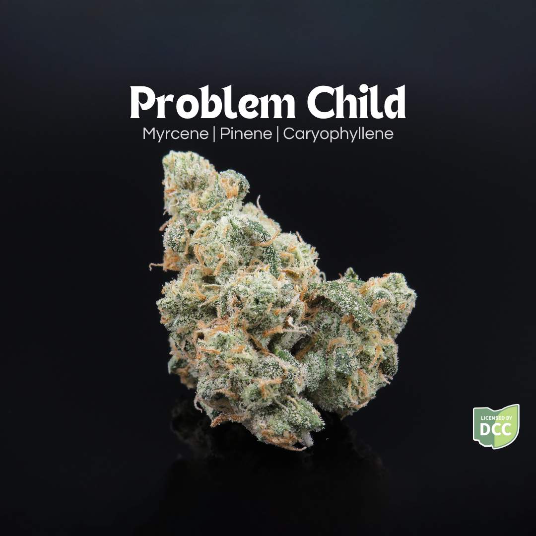 Problem Child