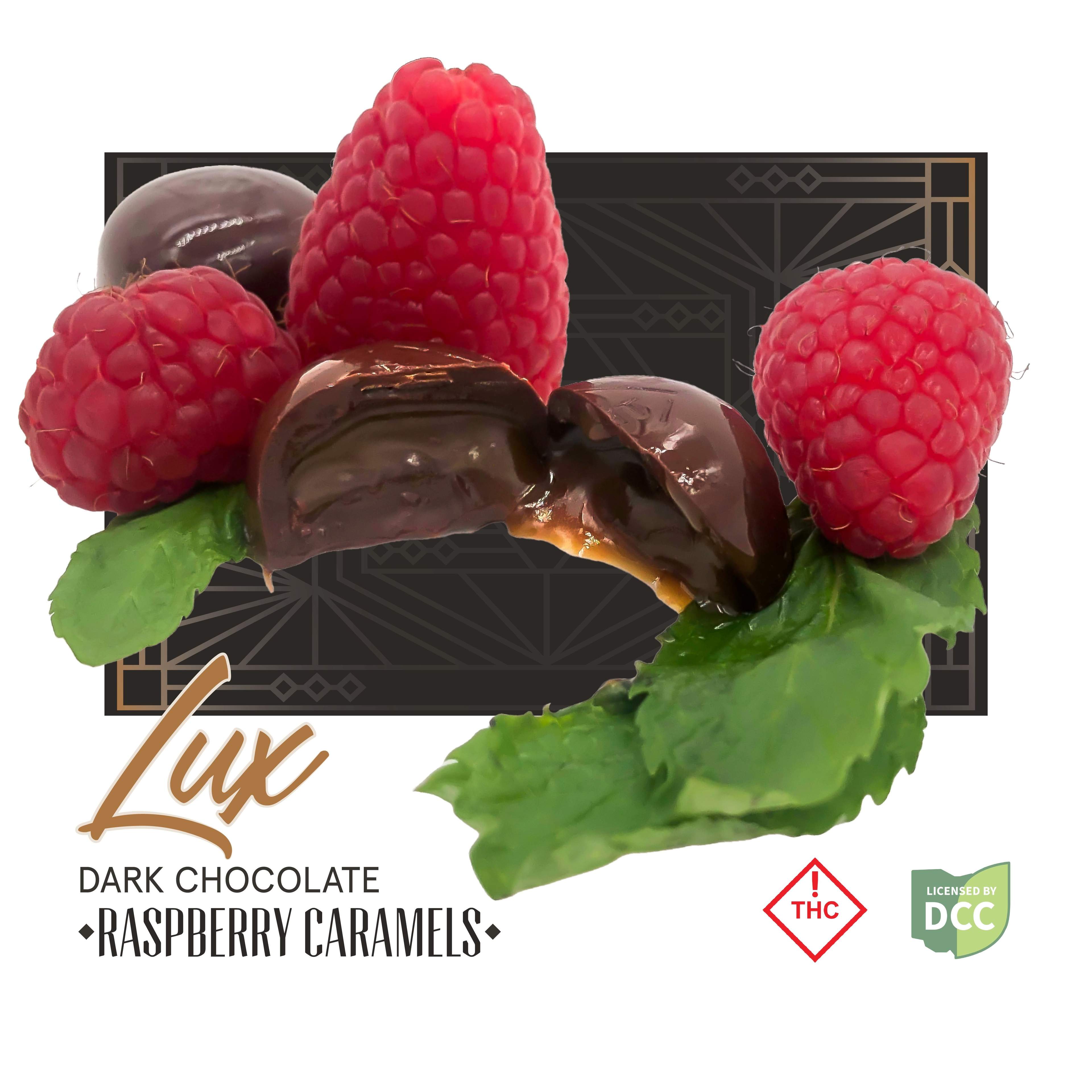 Dark Chocolate Raspberry Caramel - 100mg Chocolates - 5pk