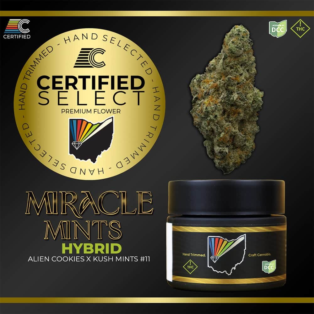 Miracle Mints - 3.5g Whole Buds - Hybrid