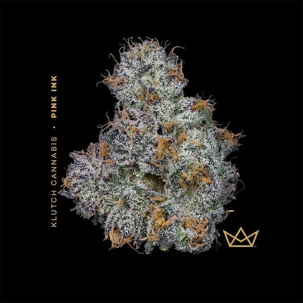 Pink Ink - 3.54g Whole Buds - Sativa