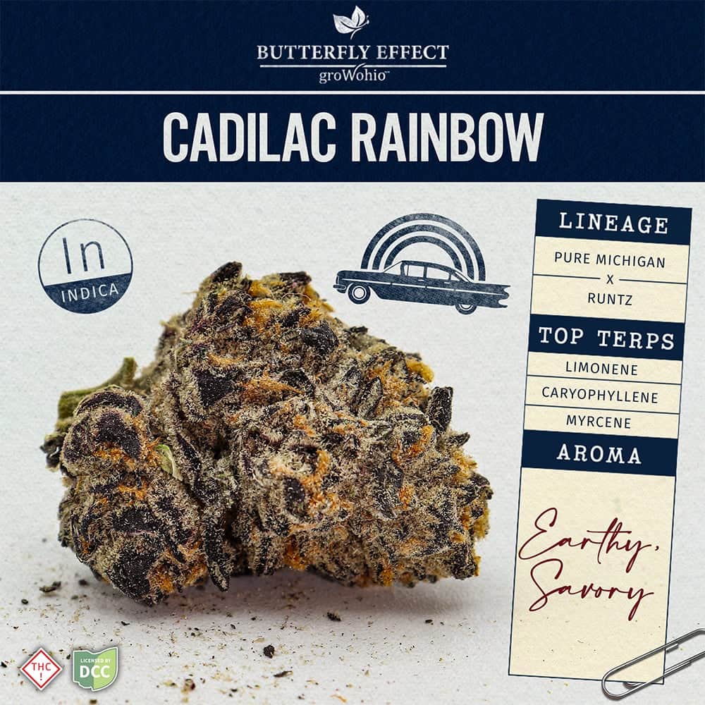 Cadilac Rainbow - 14.15g Whole Buds - Indica