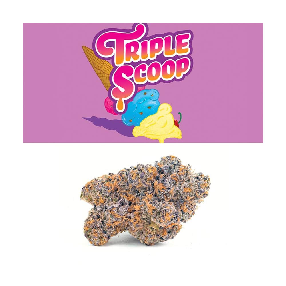 triple scoop