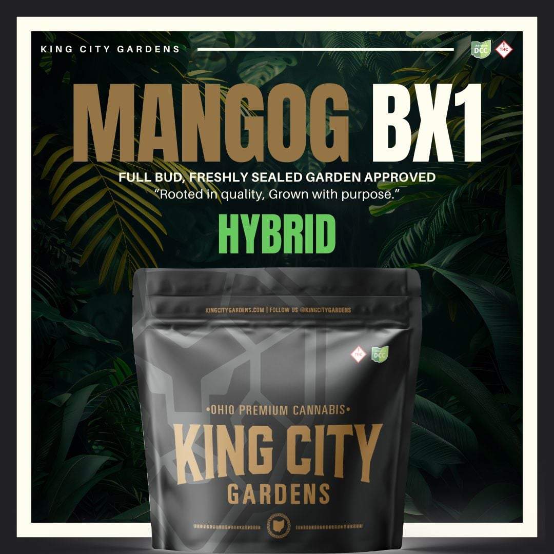 Mangog Bx1