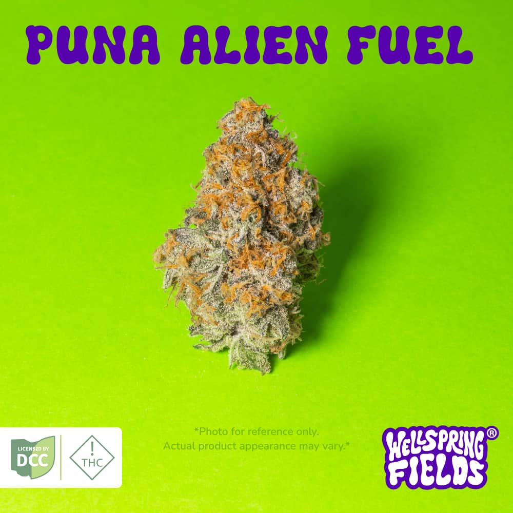 Puna Alien Fuel - 2.83g Whole Buds - Hybrid