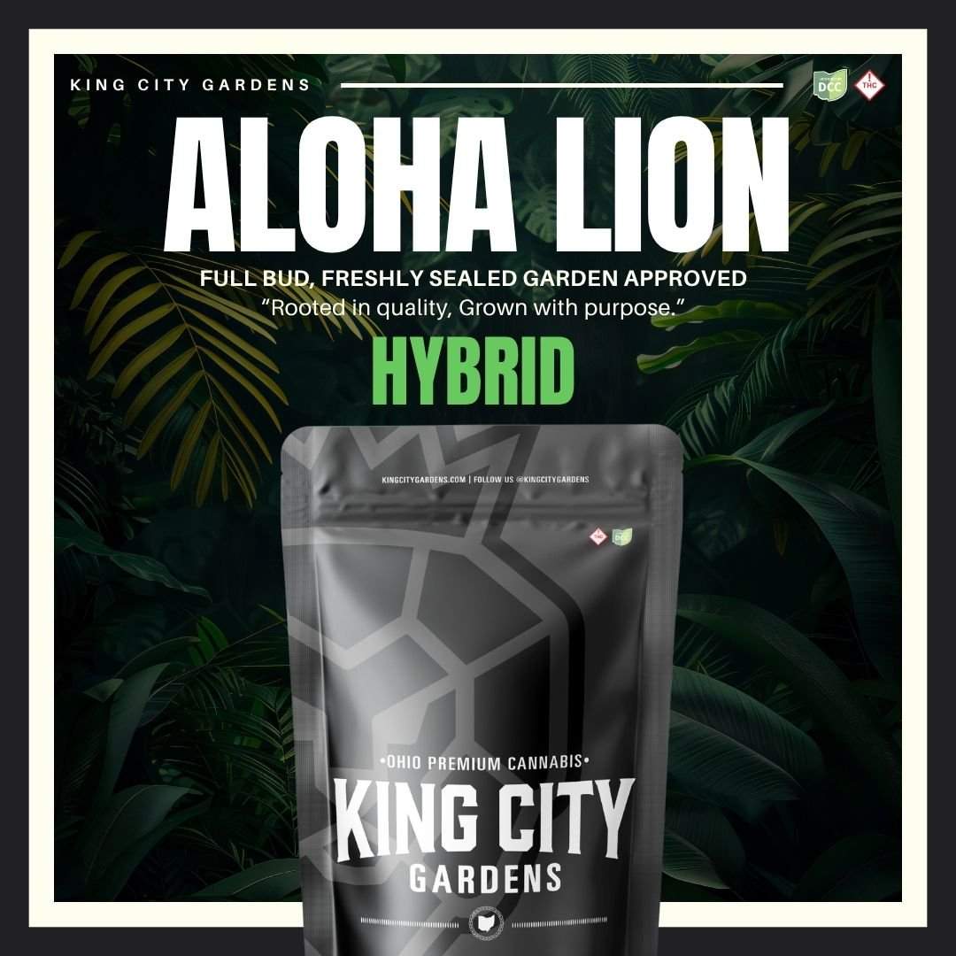 aloha lion