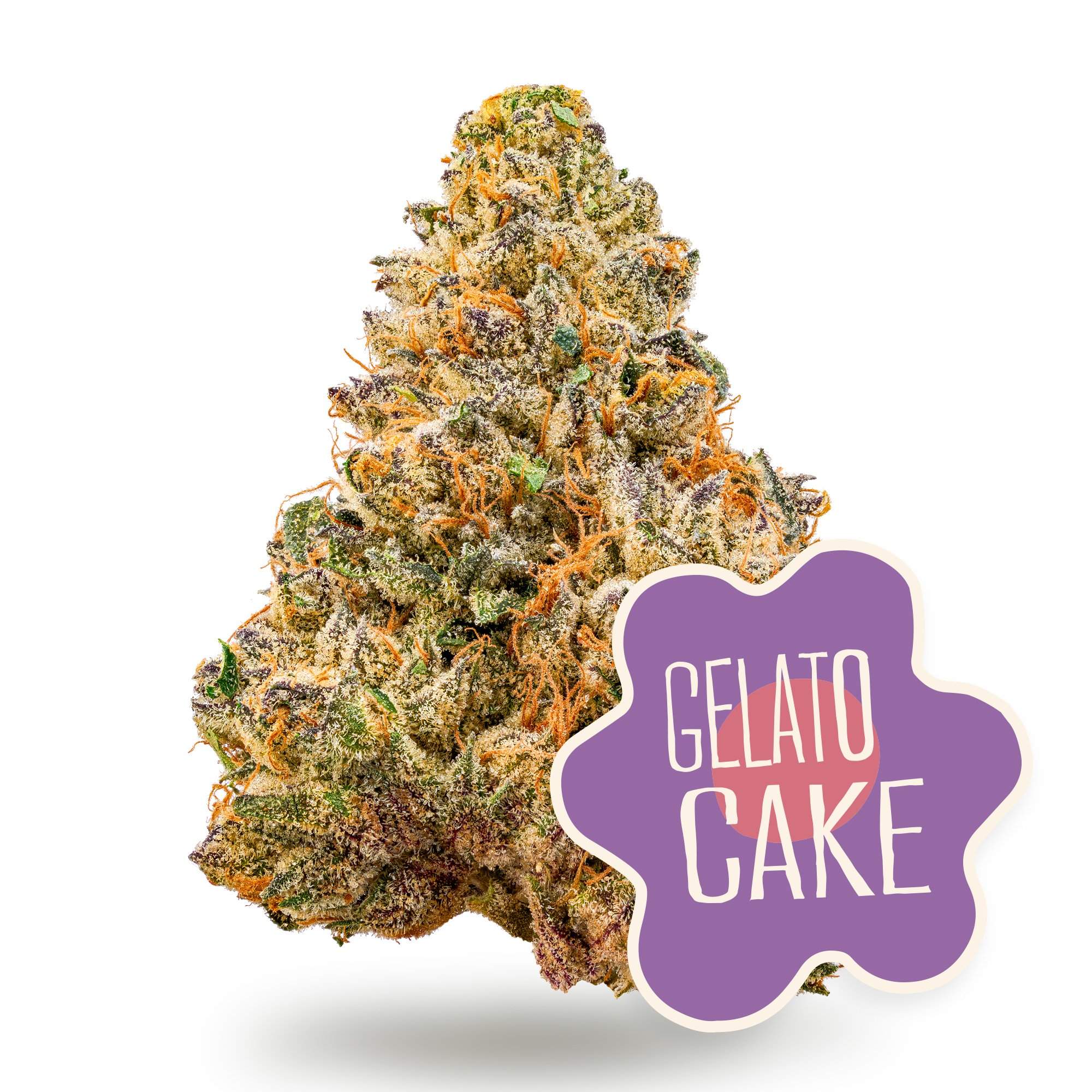 gelato cake