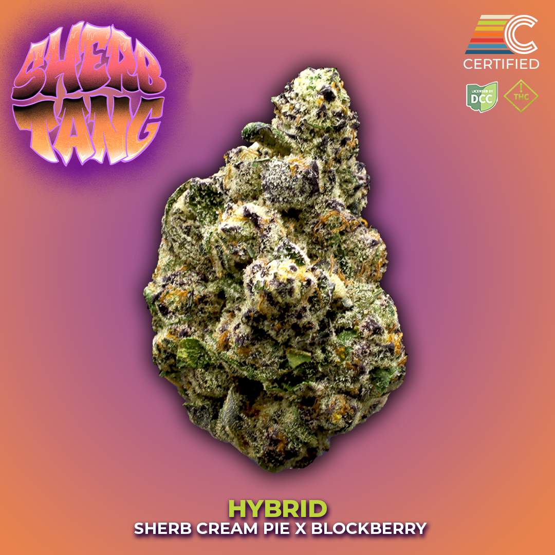 Sherbtang #1 - 2.83g Whole Buds - Hybrid
