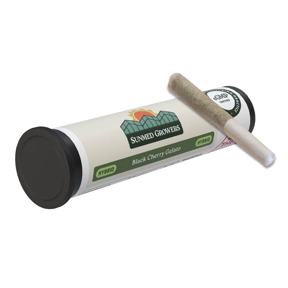 Black Cherry Gelato - 1g Single - Hybrid
