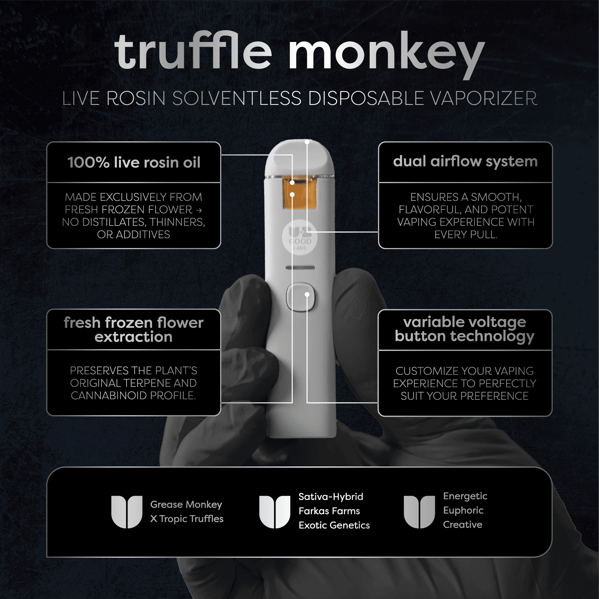 truffle monkey
