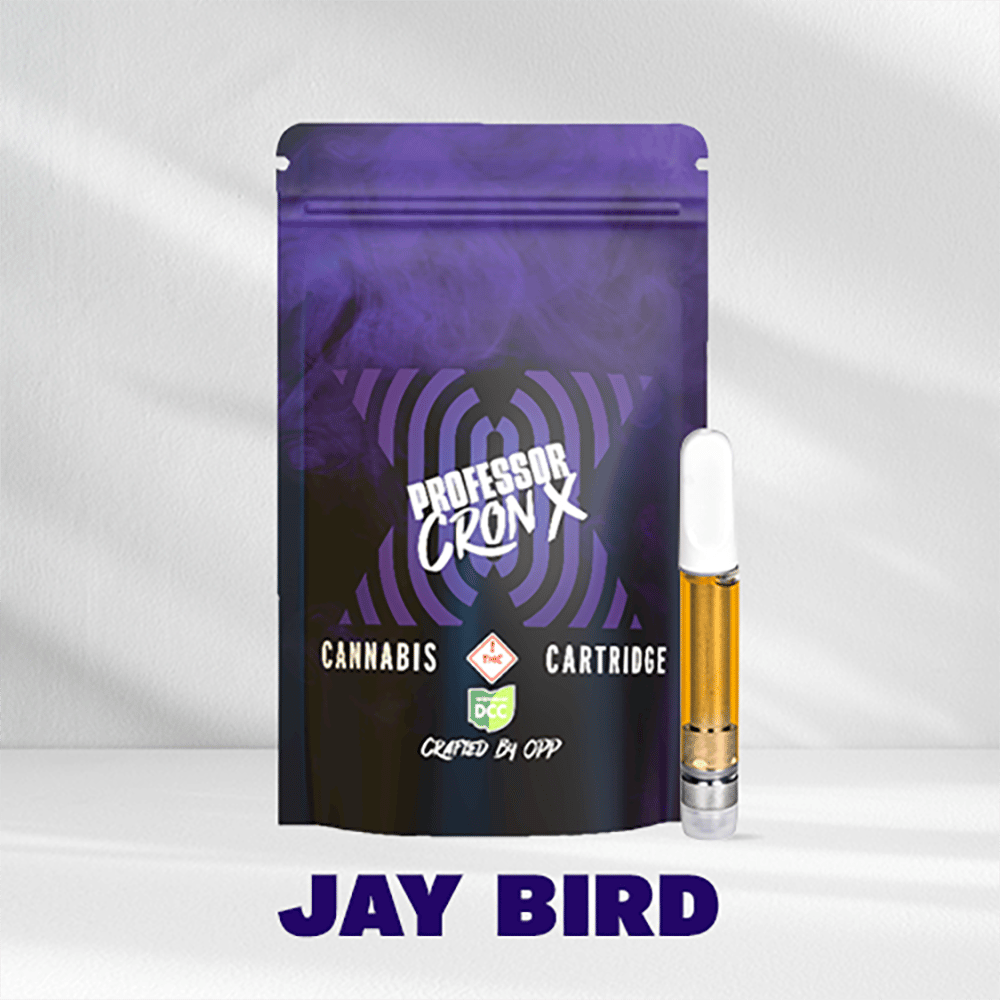 Jay Bird