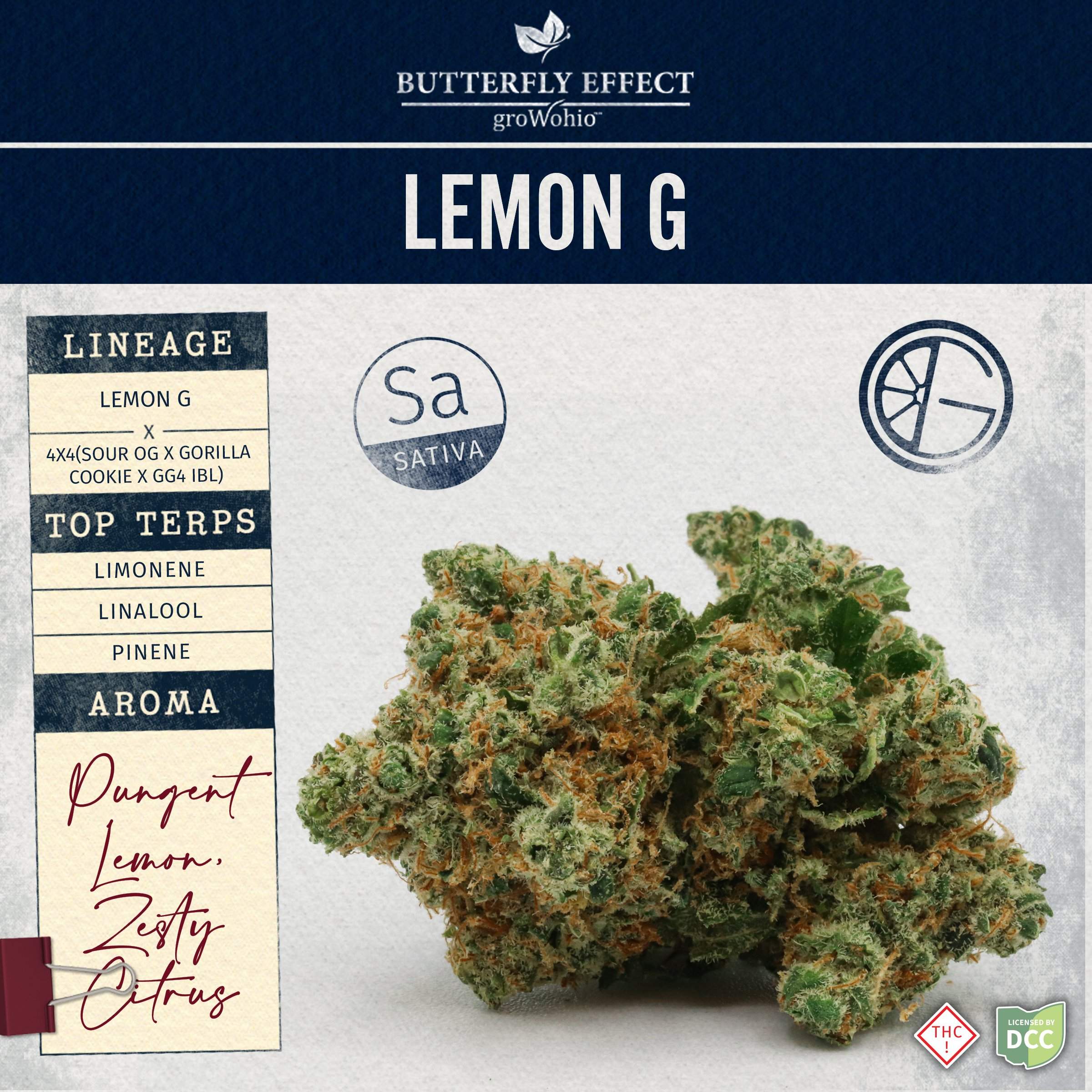 lemon g