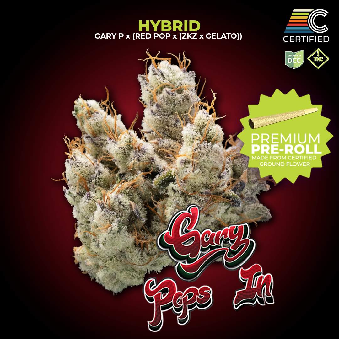 Gary Pops In - 1g Single - Hybrid