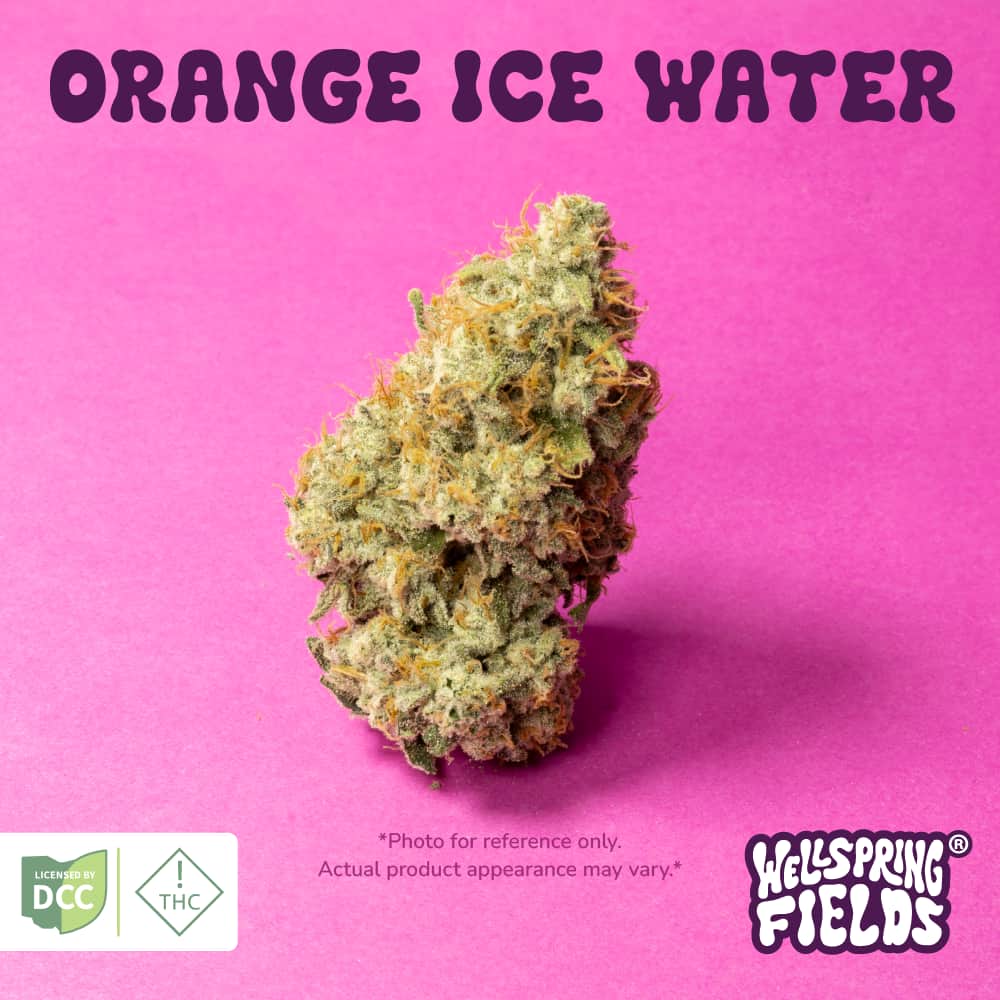 Orange Ice Water - 14.15g Whole Buds - Indica