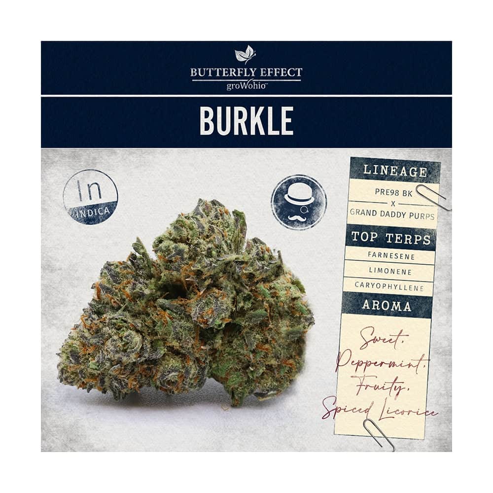Burkle