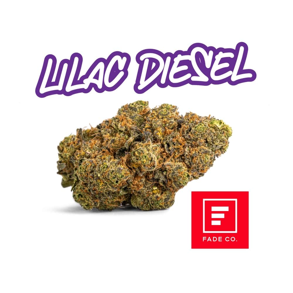 lilac diesel