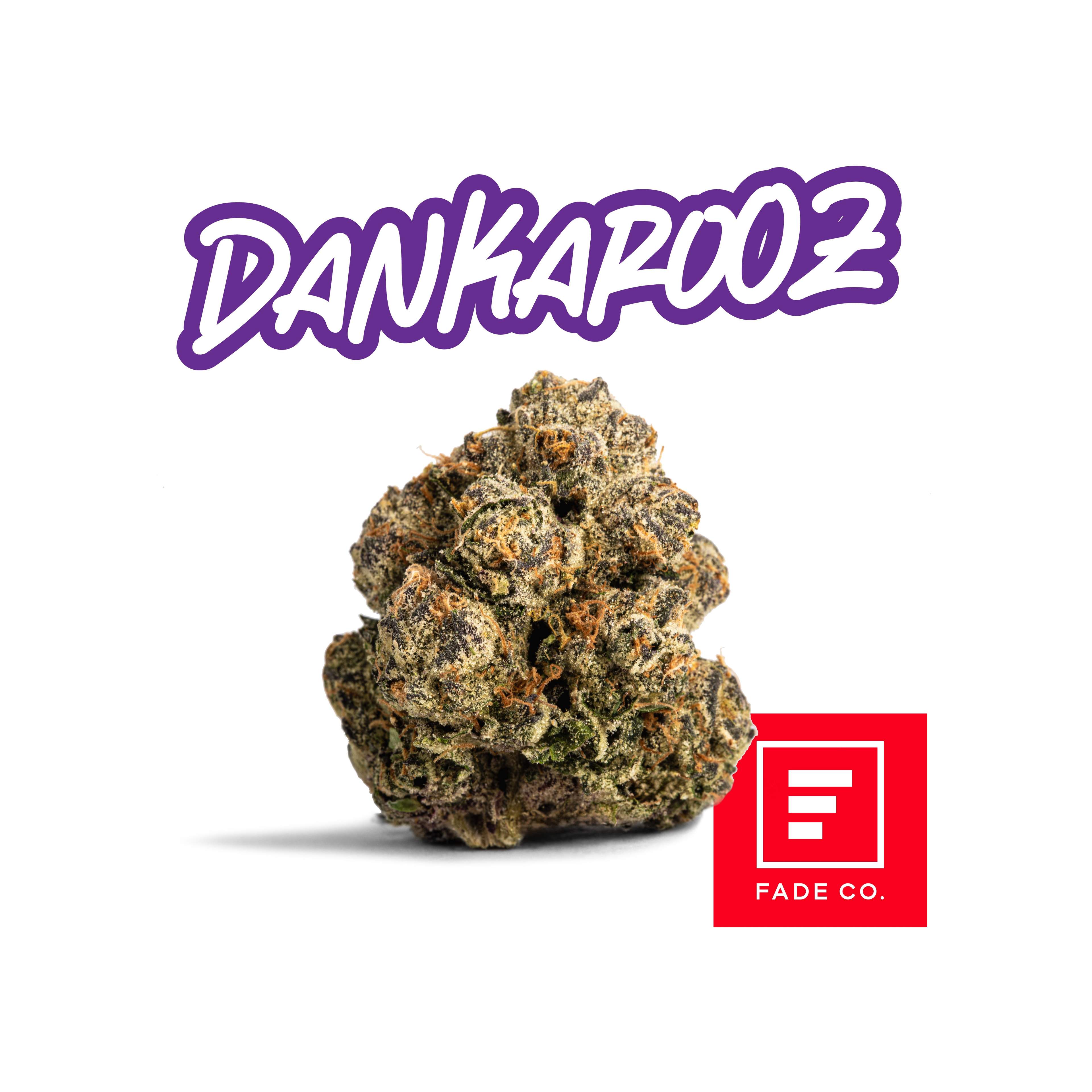 Dankarooz
