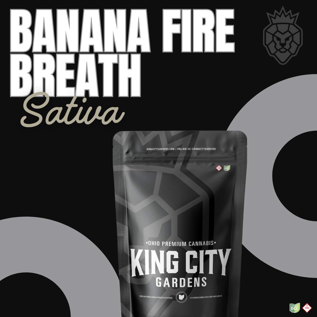 Banana Fire Breath - 3.5g Whole Buds - Sativa
