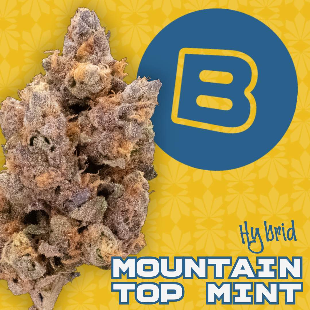 mountaintop mint