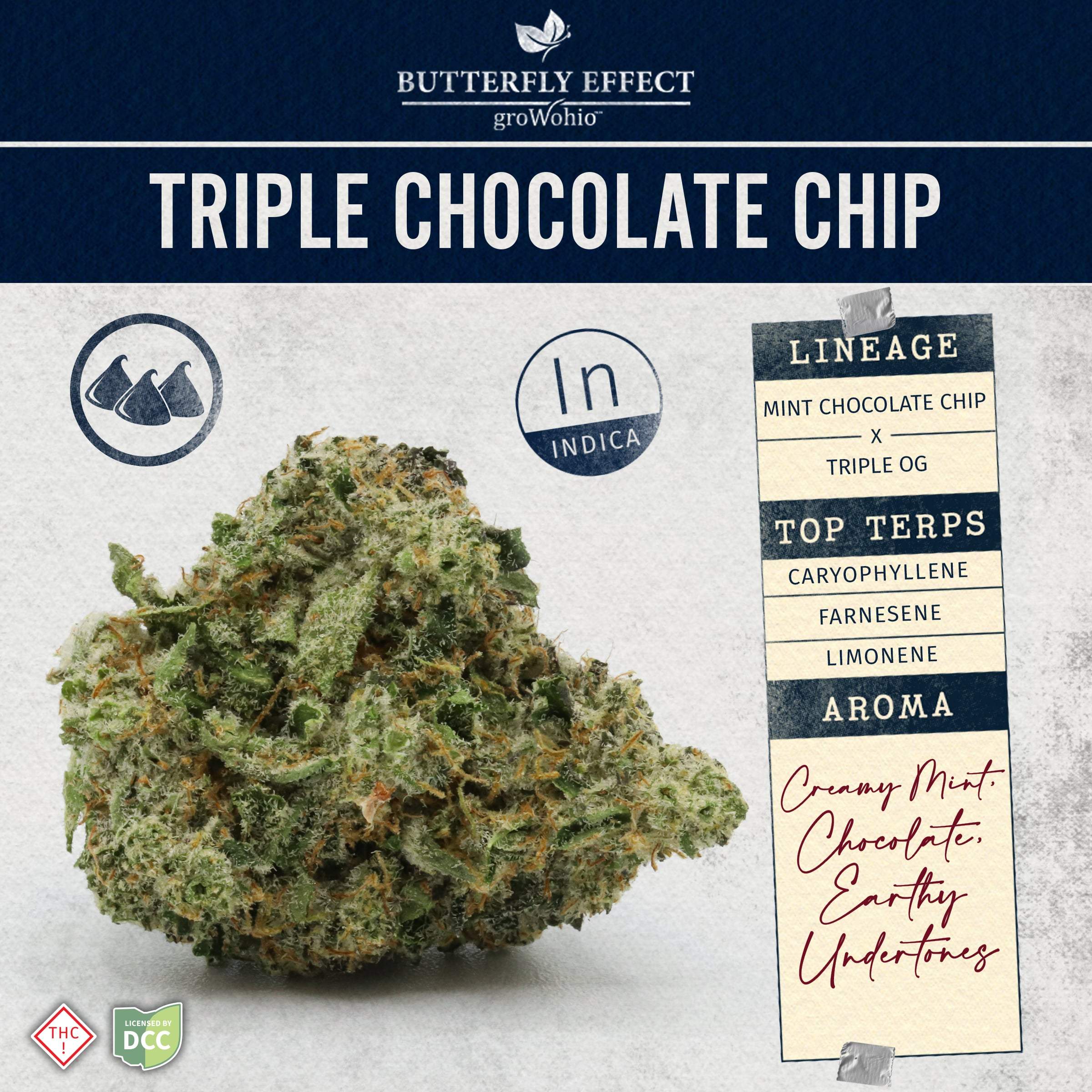 Triple Chocolate Chip - 3.5g Whole Buds - Indica
