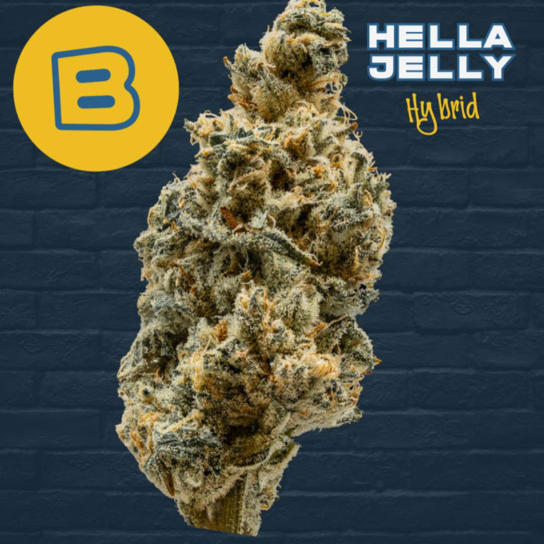 Hella Jelly