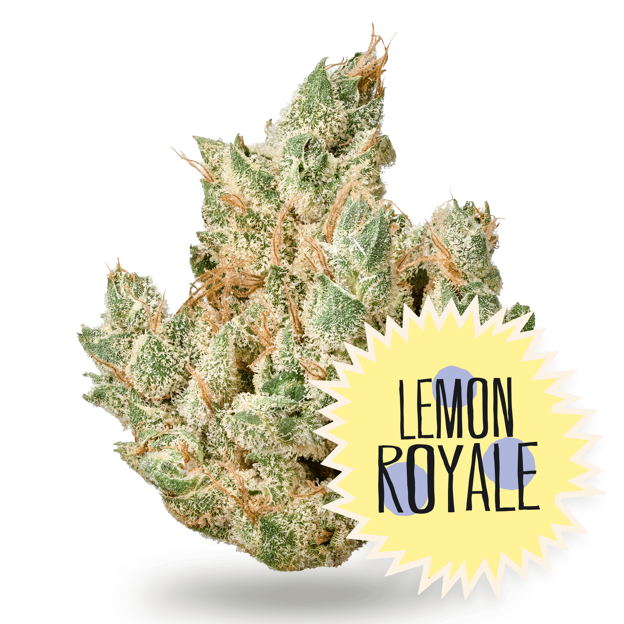 Lemon Royale - 3.5g Whole Buds - Sativa