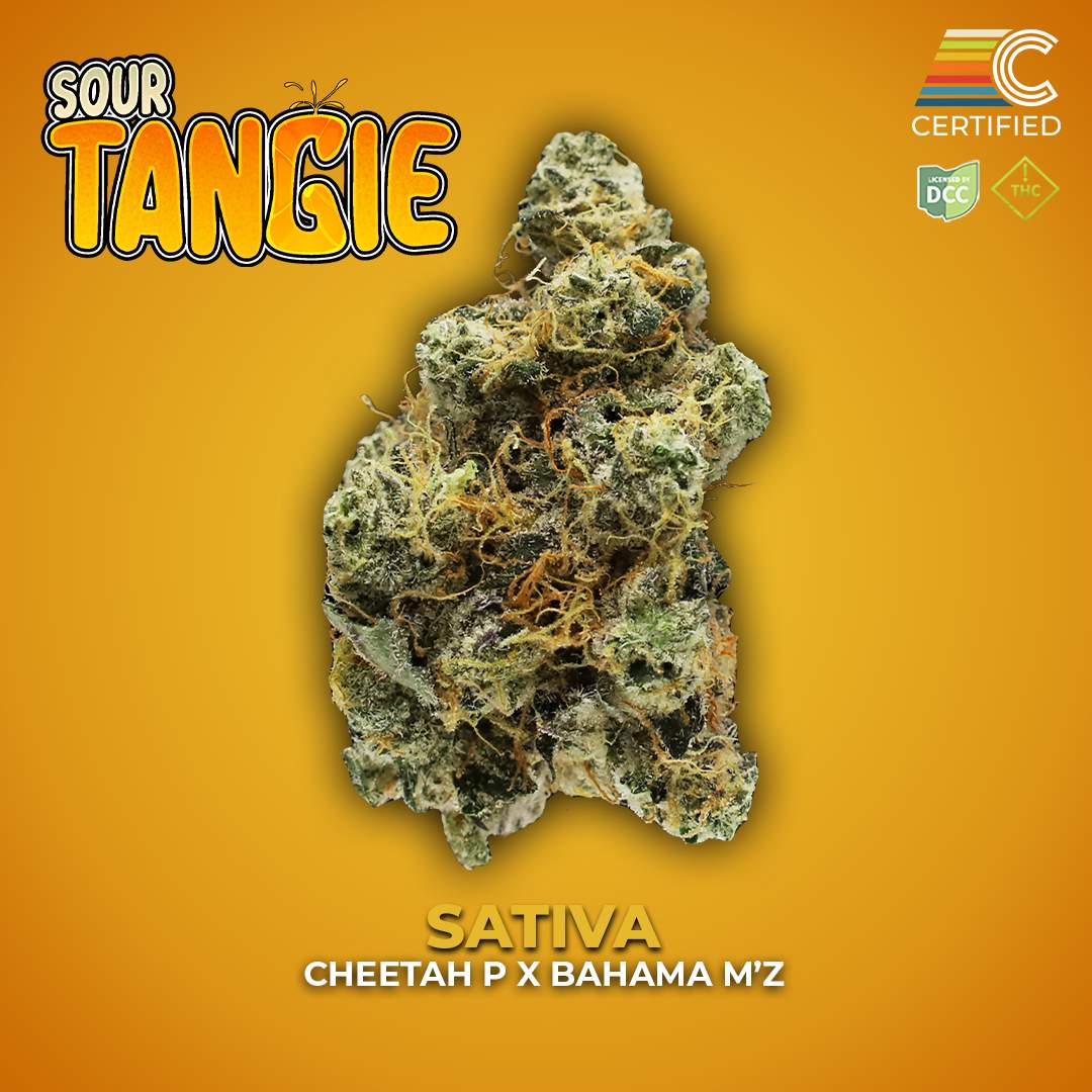 Sour Tangie - 3.5g Whole Buds - Sativa