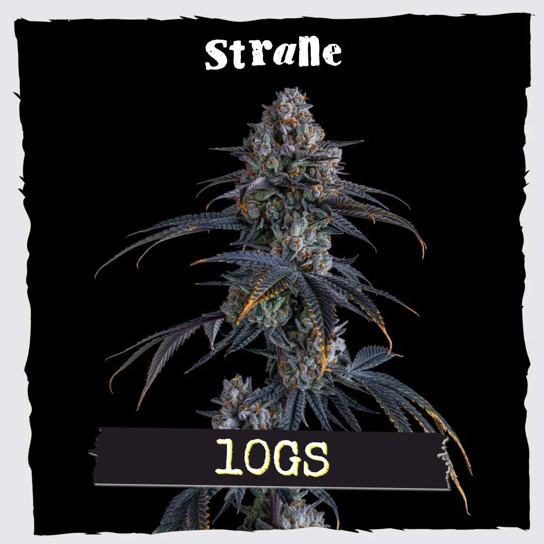 10gs - 14g Whole Buds - Hybrid