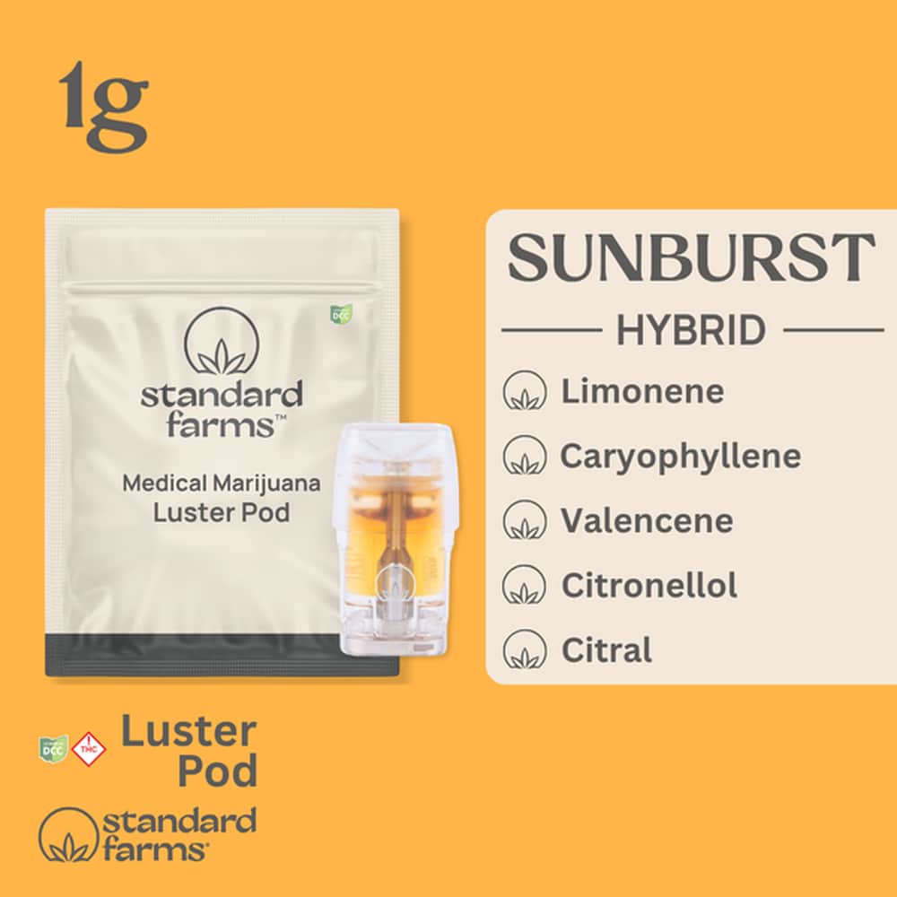 Sunburst - 1g Distillate Luster Pod - Hybrid