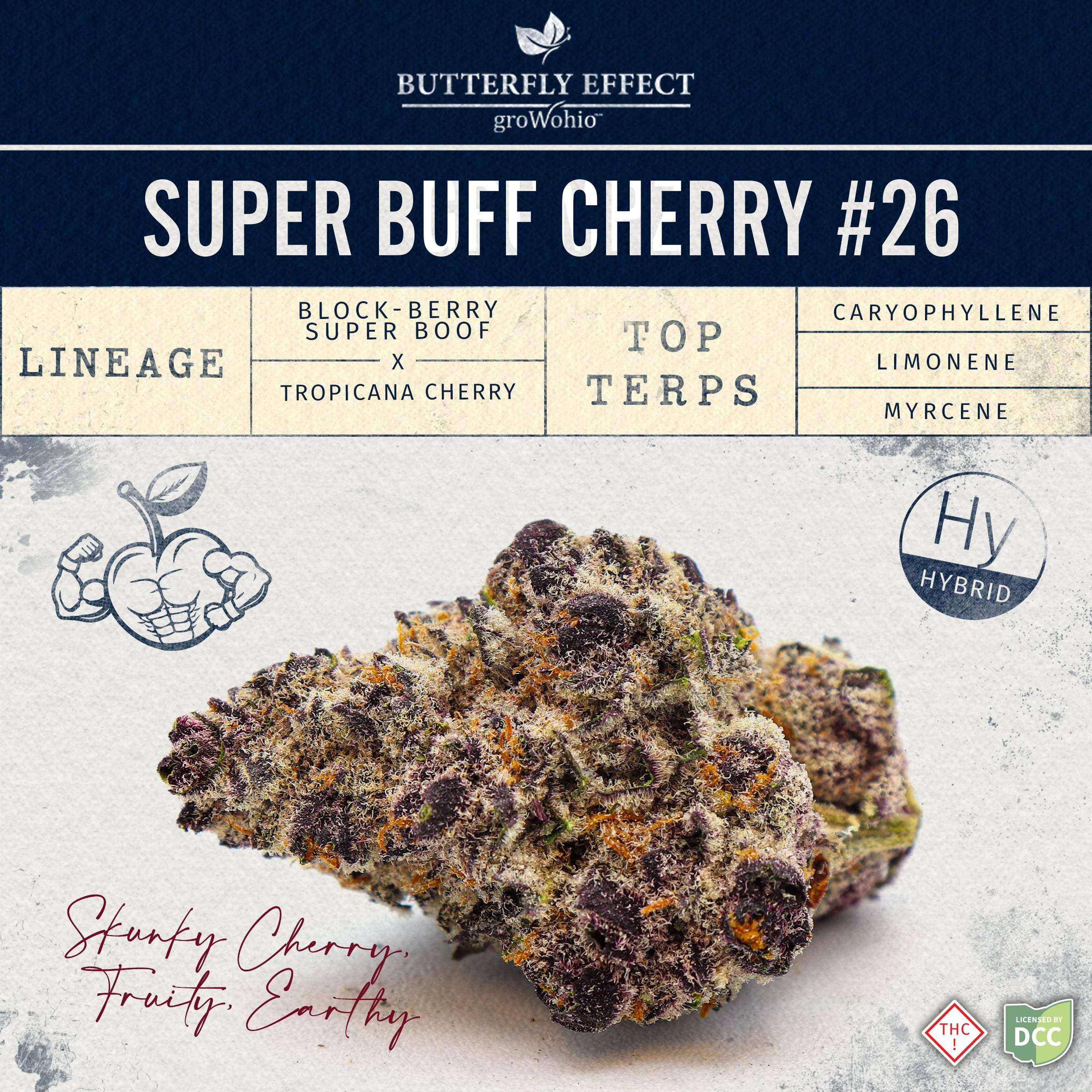 Super Buff Cherry #26 - 3.5g Whole Buds - Hybrid