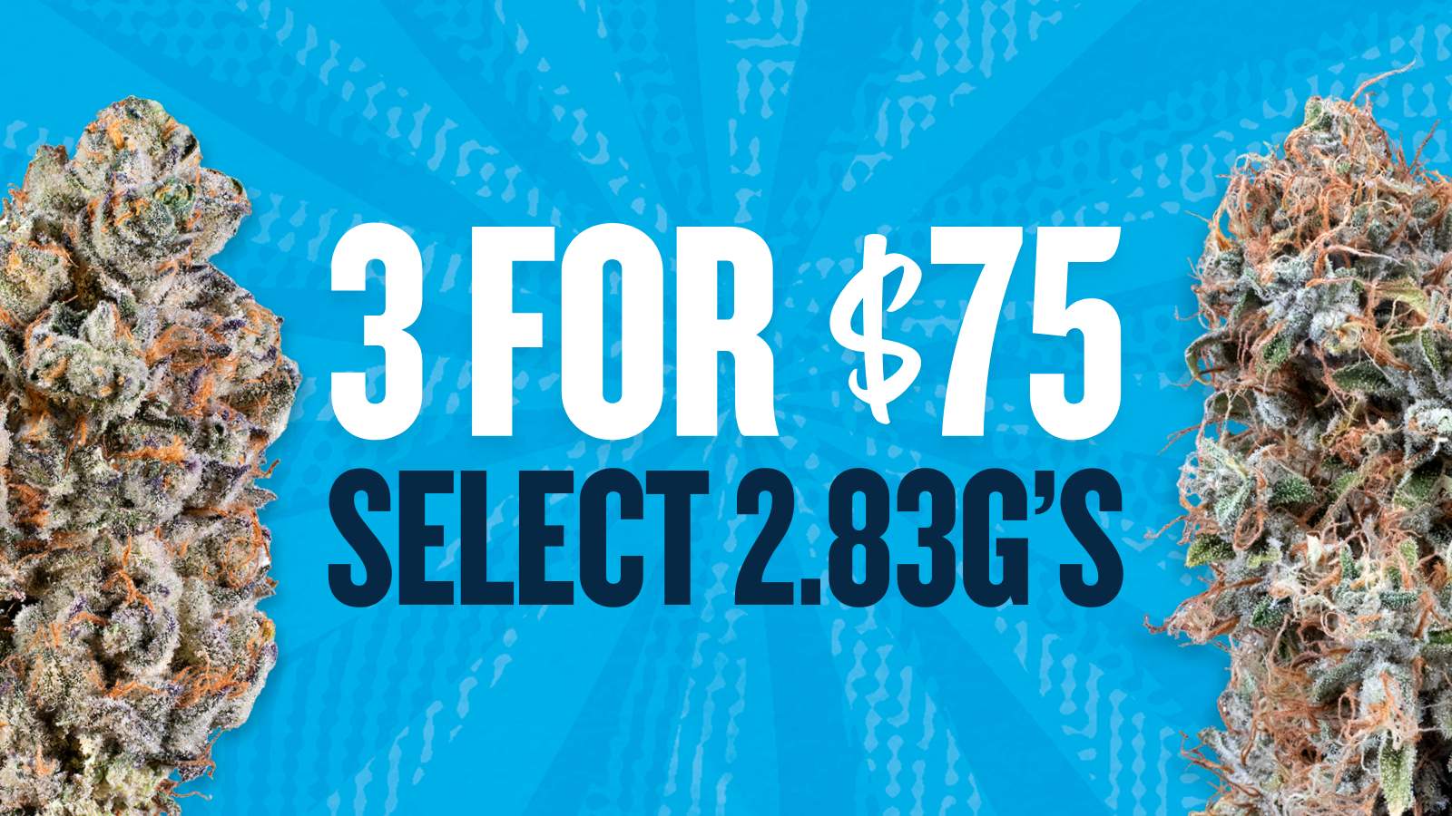3 FOR $75 SELECT 2.83G