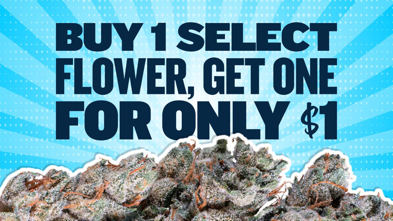 BUY 1 GET 1 SELECT FLOWER $1