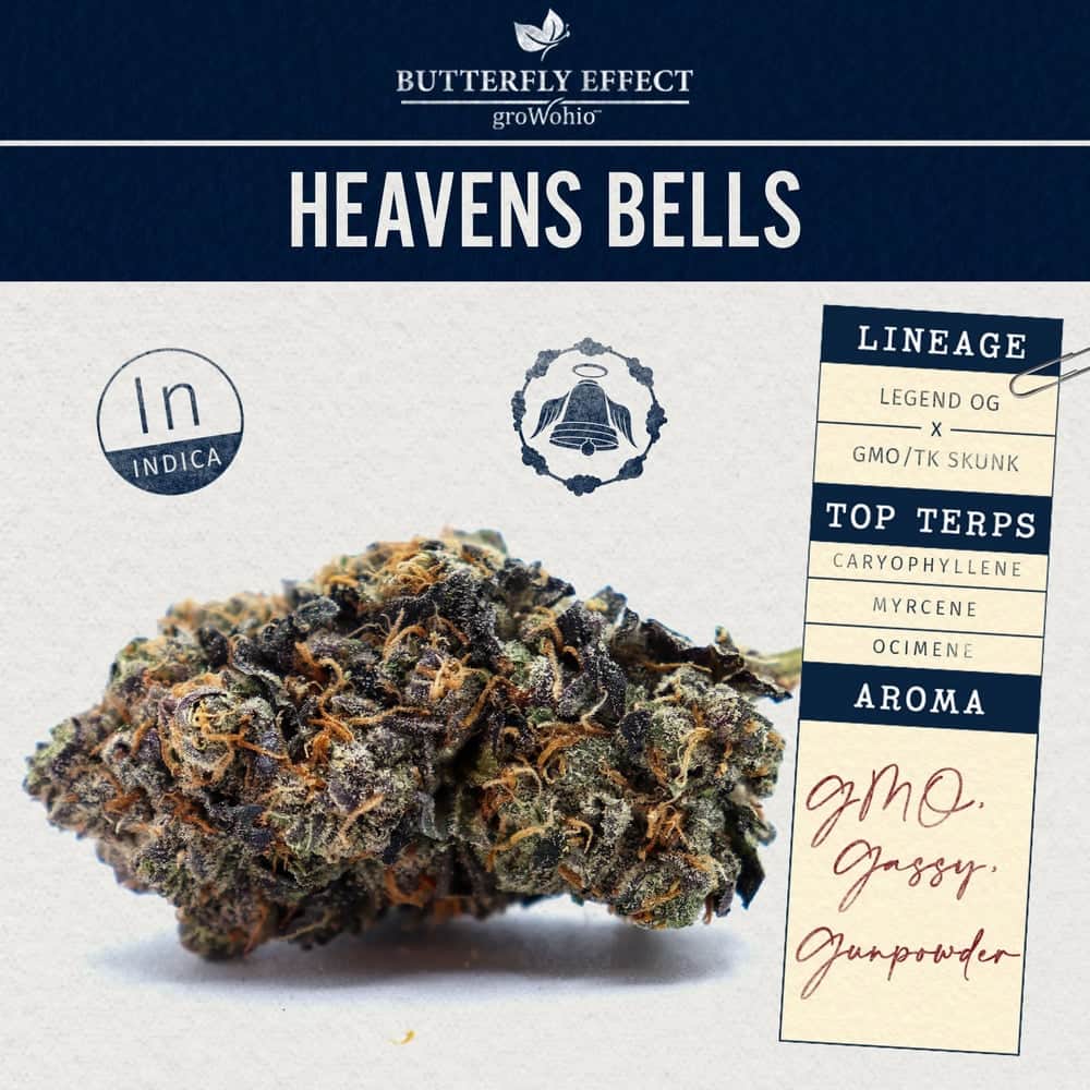 heavens bells