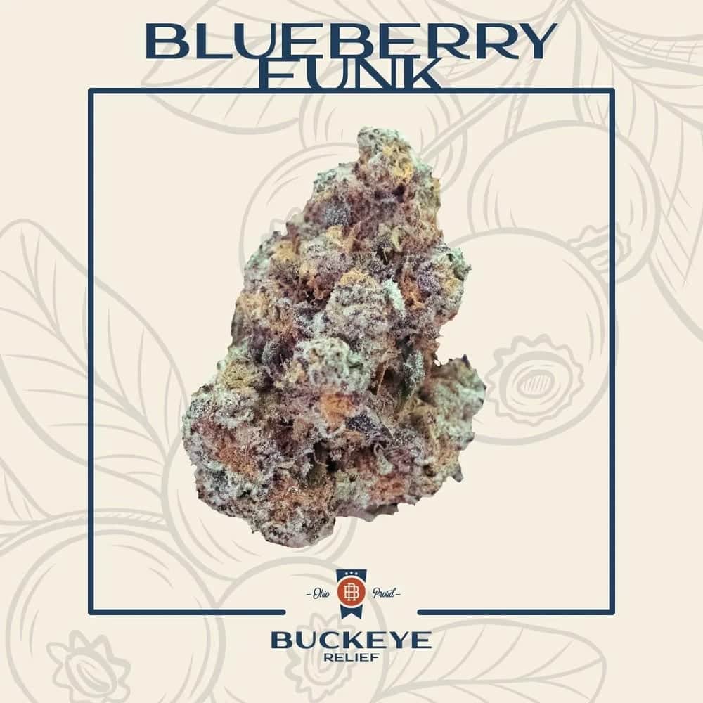 blueberry funk