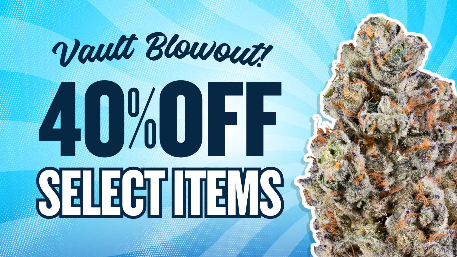 40% OFF LAST CHANCE SPECIAL