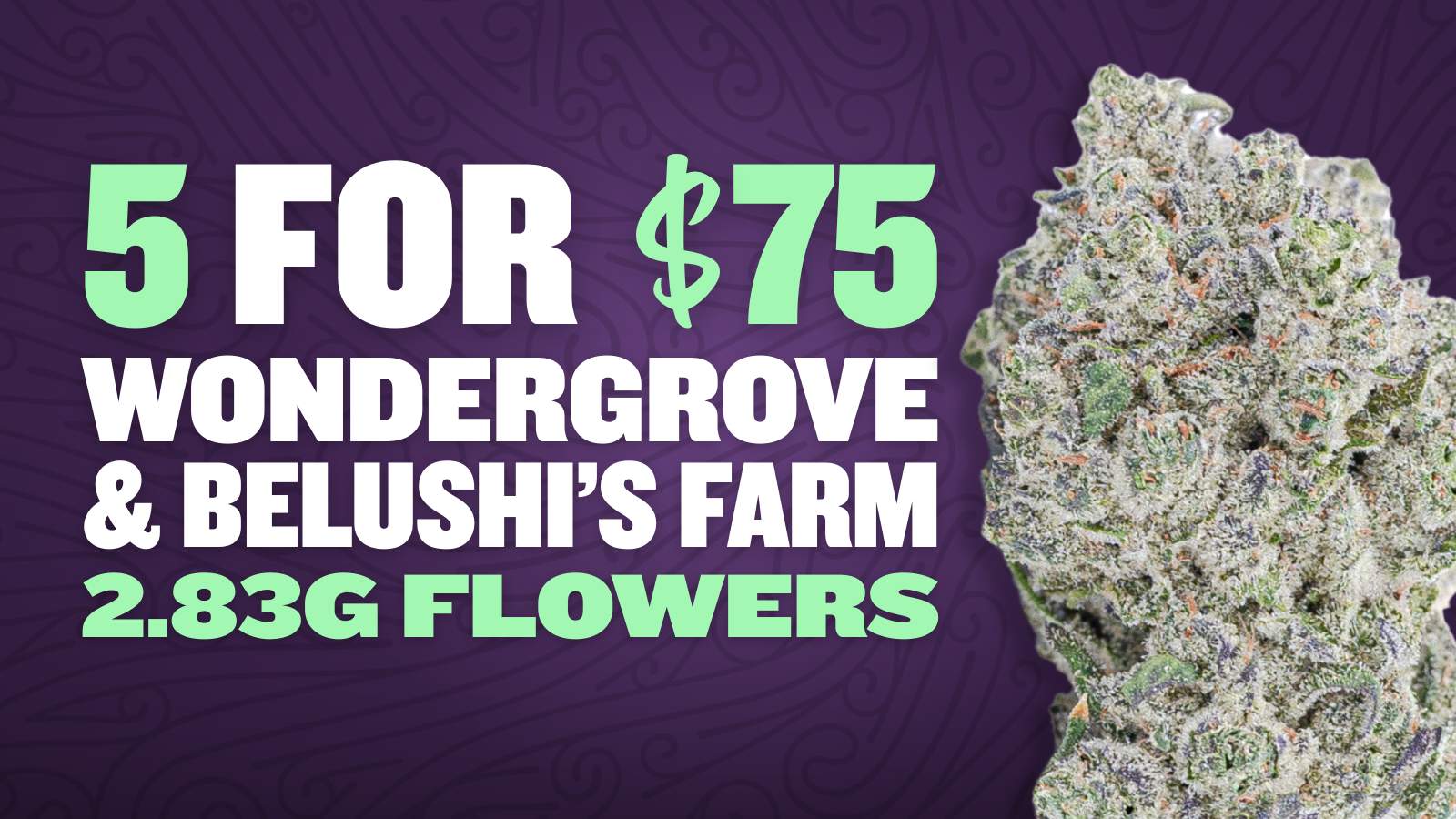 BUY 5 WONDERGROVE/BELUSHI 2.83G FOR $75