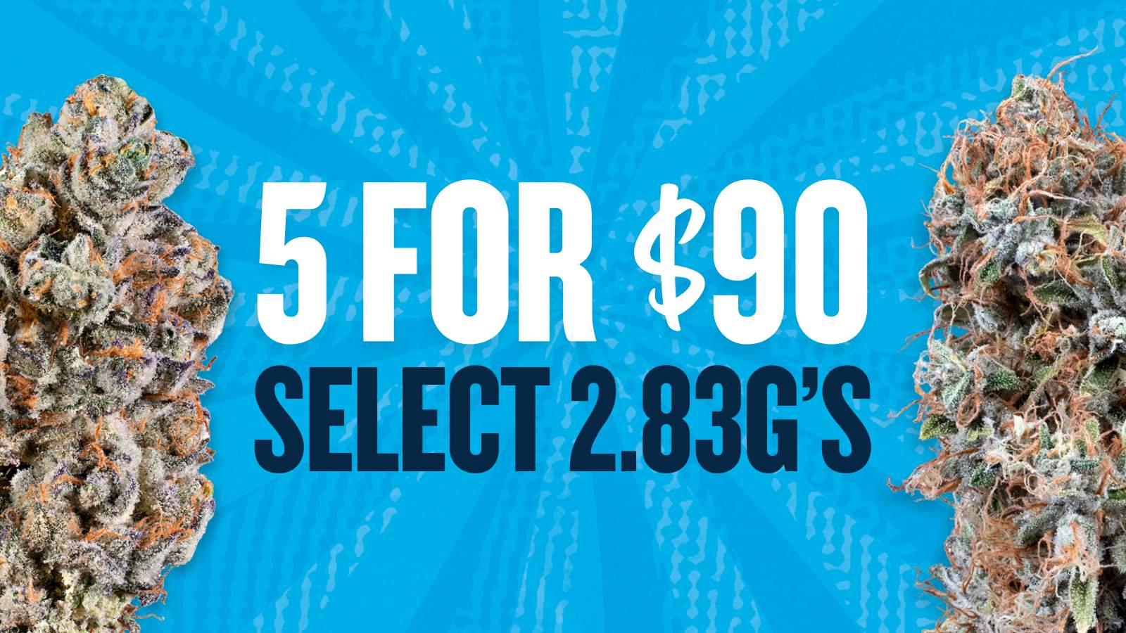 5 FOR $90 SELECT 2.83G