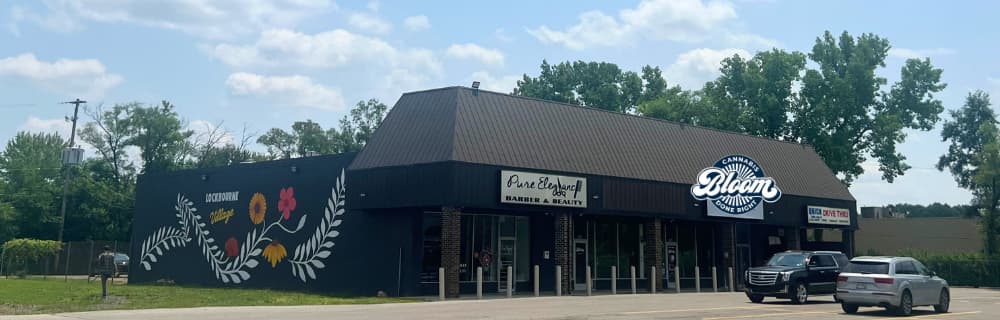 A black building with colorful floral mural, housing Pure Blessed Barber & Beauty and Bloom dispensary, with parked cars in front.