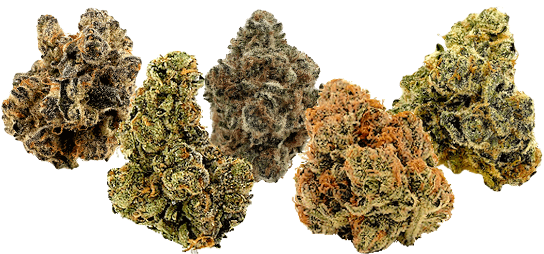 king city gardens marijuana products